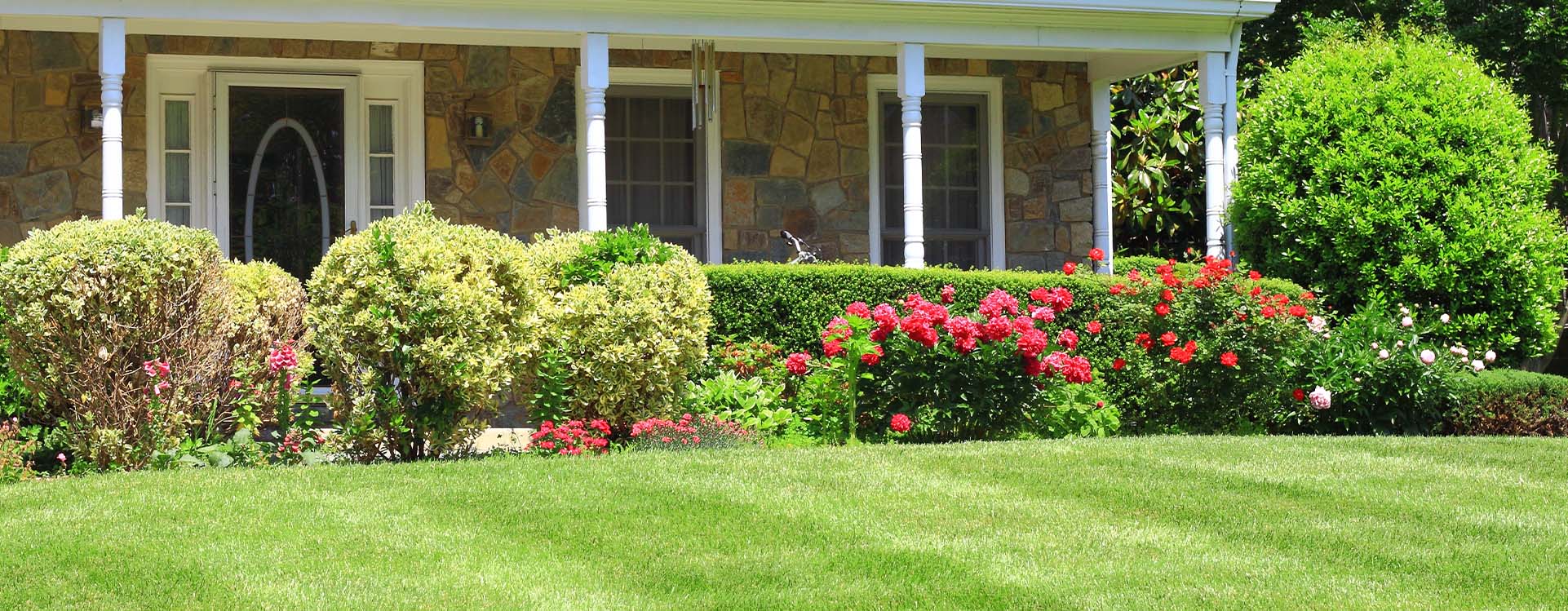 Hardscaping Services